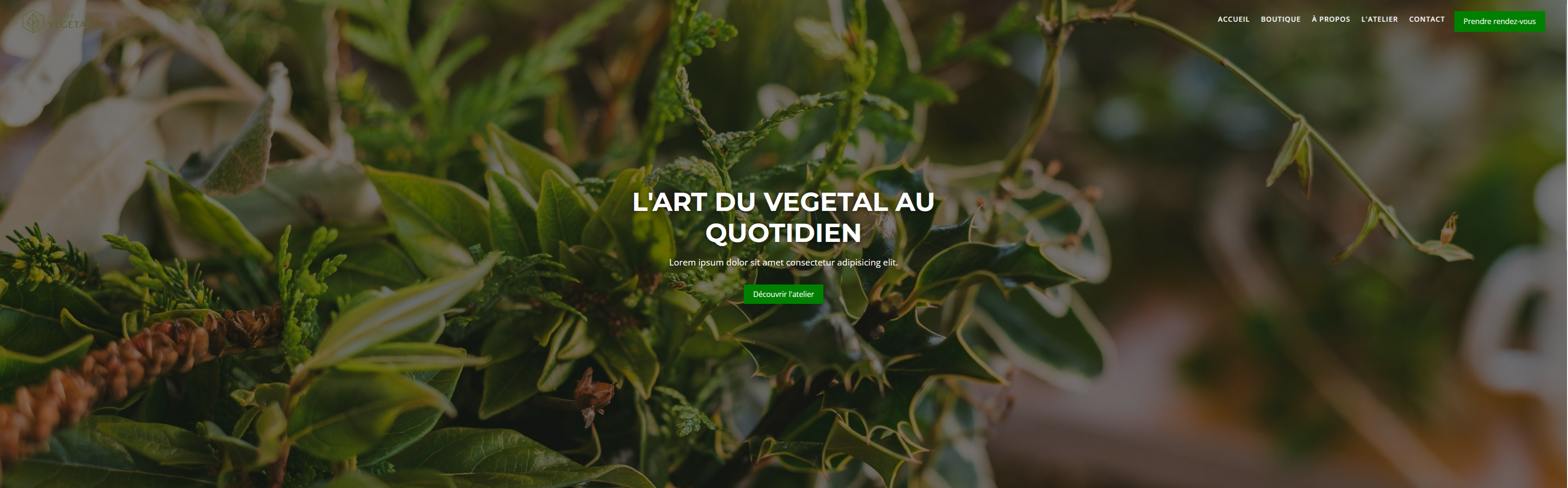 Aperçu du projet HTML/CSS
