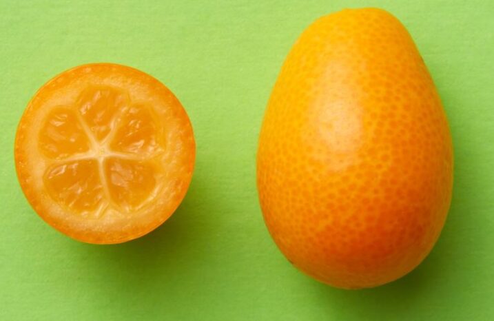 Minimalist image of a whole and sliced kumquat on a bright green backdrop.